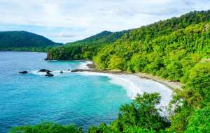 Aceh Freediving