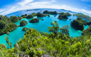 Raja Ampat