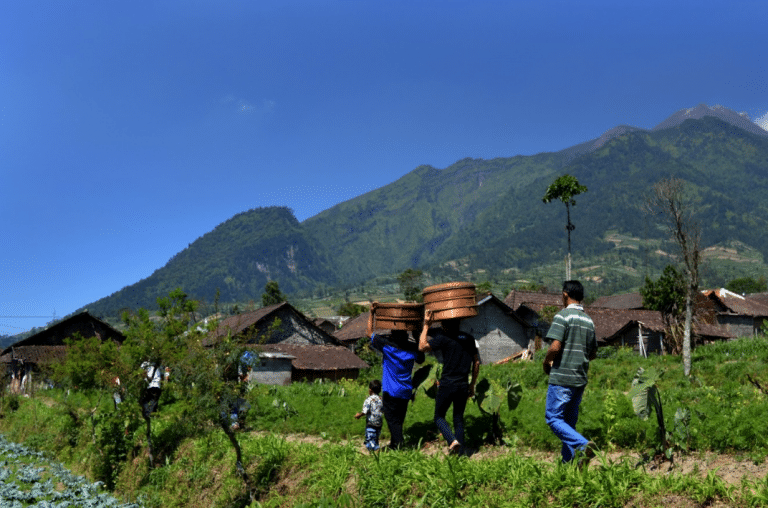 merbabu