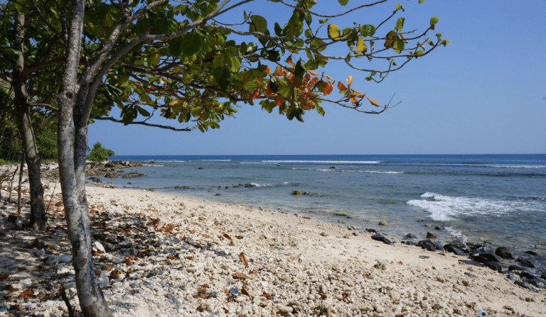 tanjung lesung festival