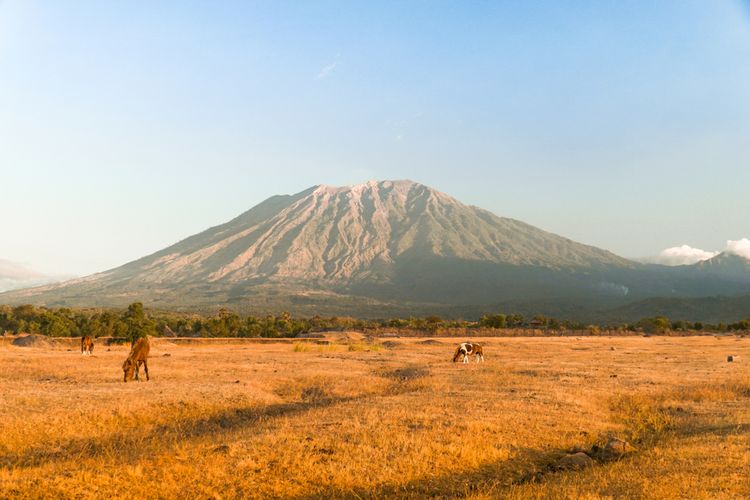 Sand and Gravel Mining Threatens Savana Tianyar's Biodiversity.