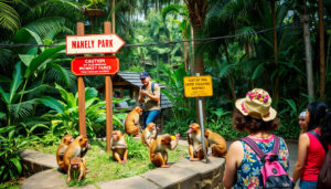 Bali Issues Fresh Rabies Alerts: Essential Safety Guidance for Tourists at Monkey Parks