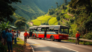 Tragic Bali Bus Crash Claims Lives of Five Chinese Tourists: What Went Wrong?